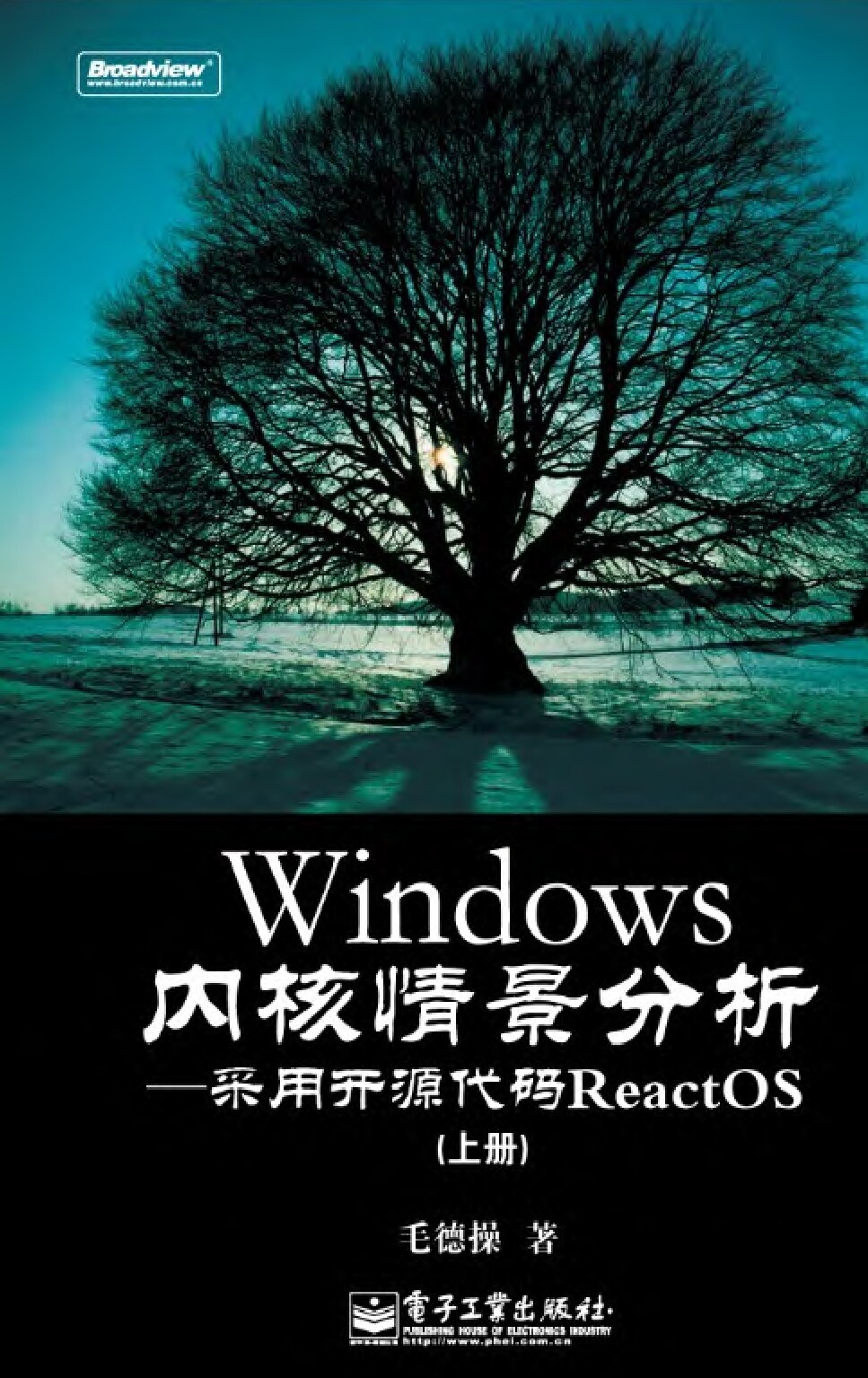 Windows内核情景分析 上册